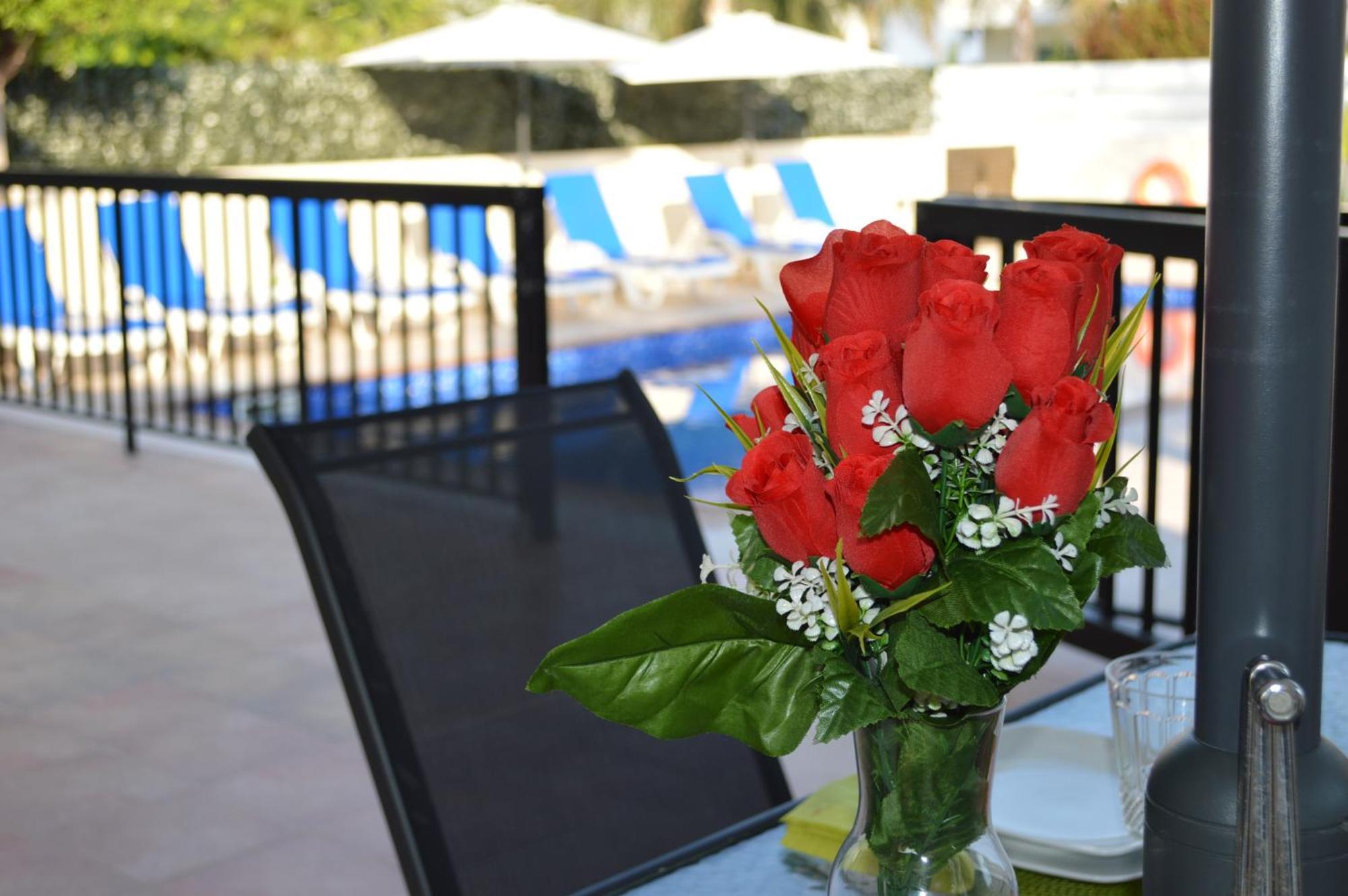 Marina Luxury - Diamond Willa Ajia Napa